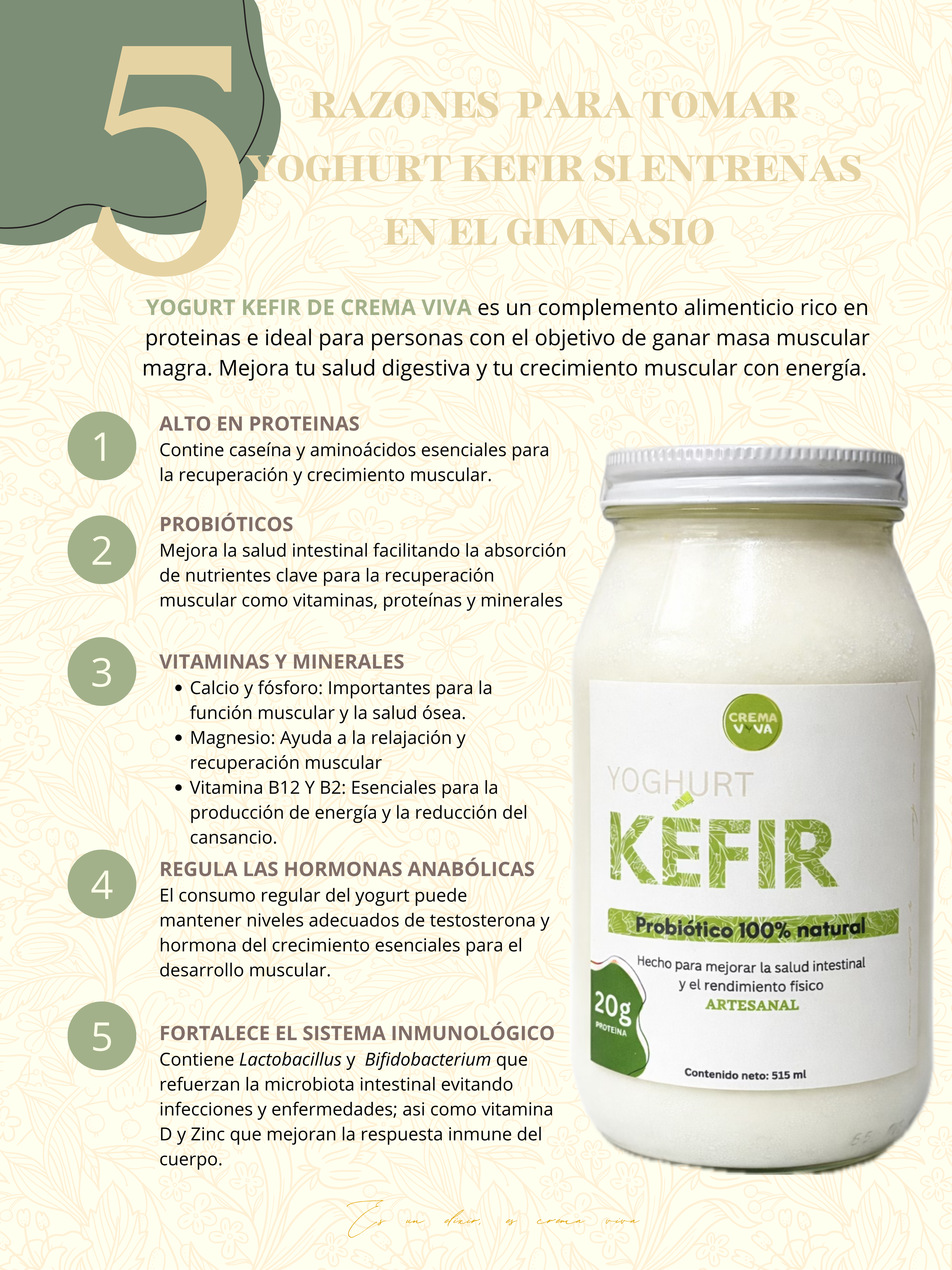 Kefir Yoghurt 3 Pack
