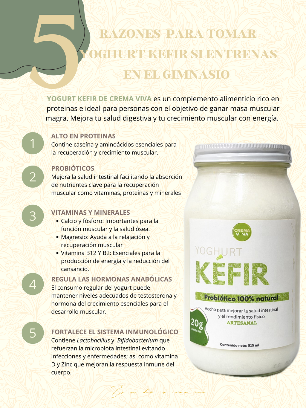 Kefir Yoghurt 4 Pack